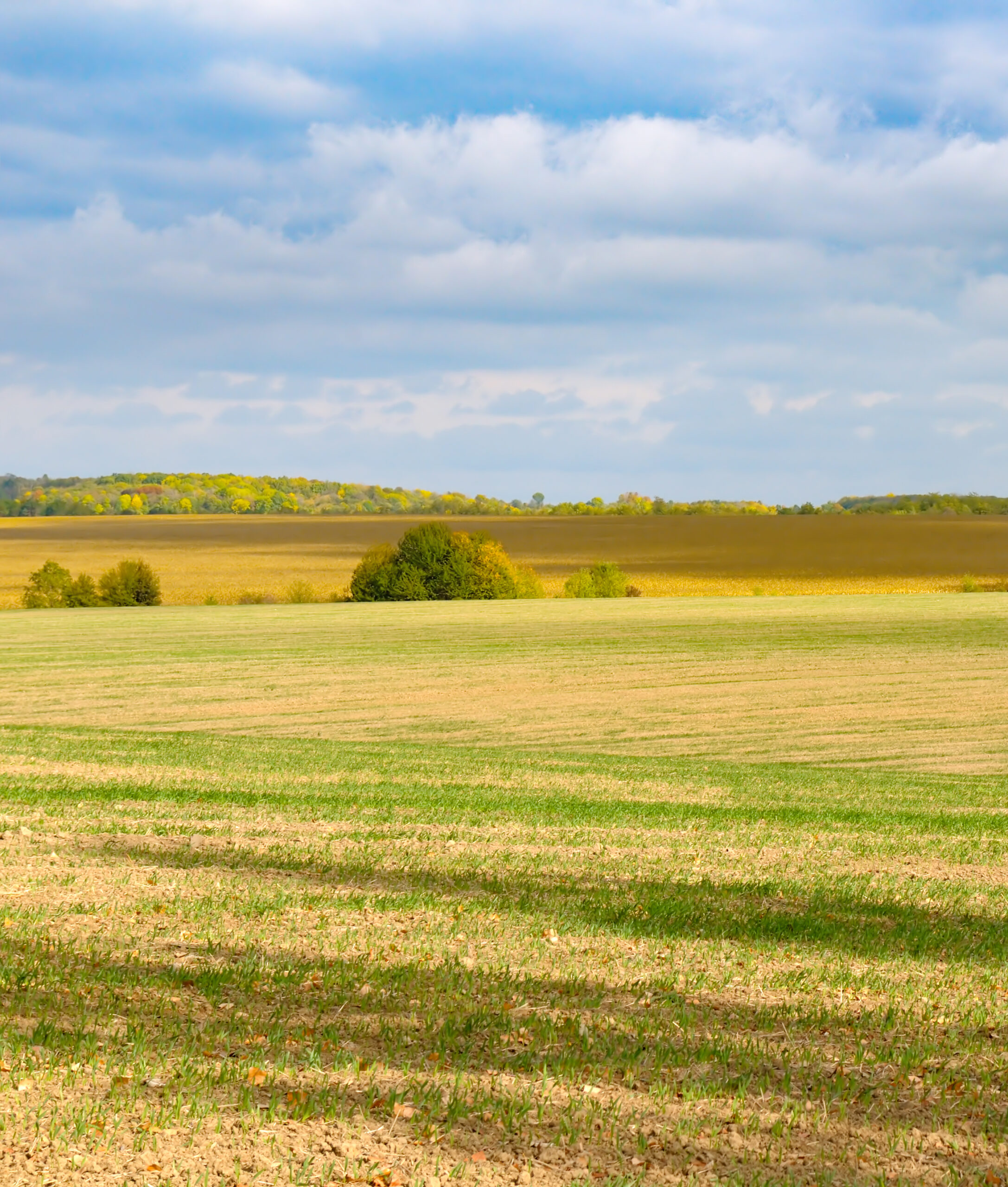 Farm Land for Sale